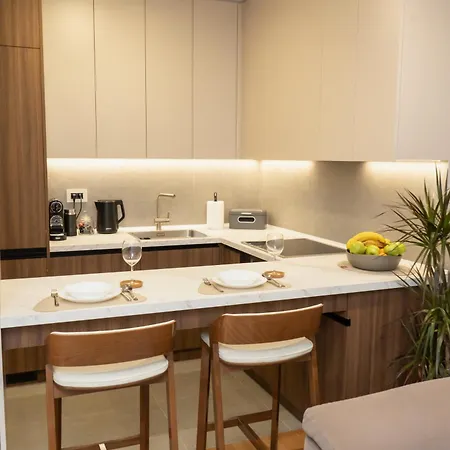 Skyline Free Parking Apartment Novi Sad
